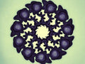 Flowers Of Algebra - Poster | Canvas Wall Art Print