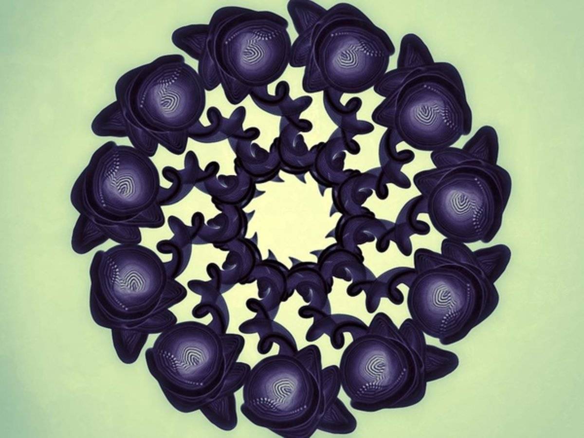 Flowers Of Algebra - Poster | Canvas Wall Art Print