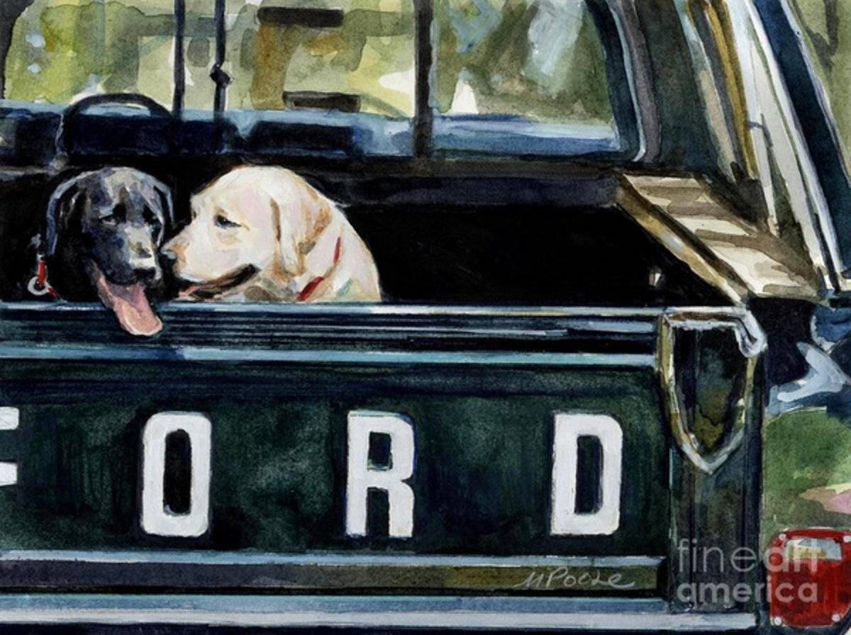 For Our Retriever Dogs - Poster | Canvas Wall Art Print