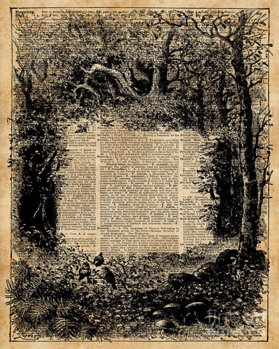 Forest Frame Dictionaryart Trees Ink Artwork - Poster | Canvas Wall Art Print
