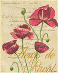 French Pink Poppies - Poster | Canvas Wall Art Print