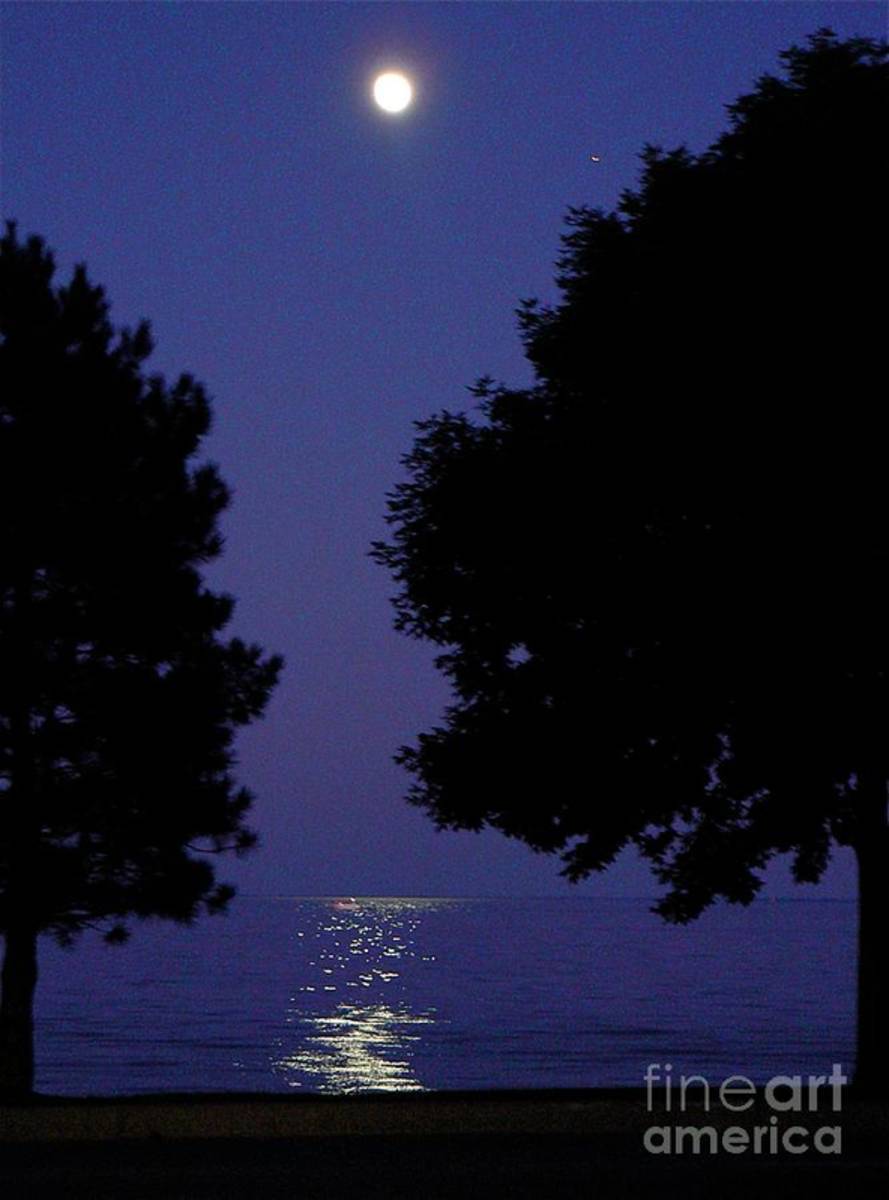 Full Moon Rise - Poster | Canvas Wall Art Print