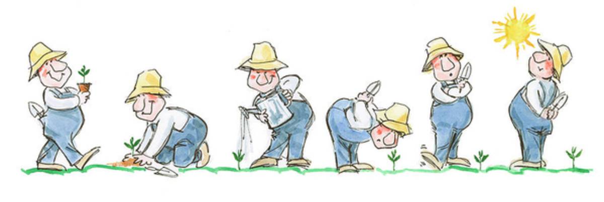 Garden Guy Planting - Poster | Canvas Wall Art Print