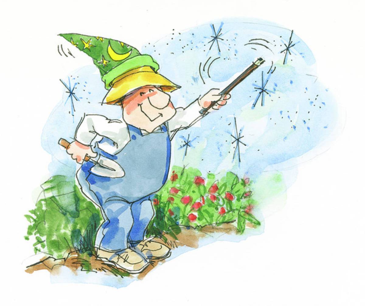Garden Magic - Poster | Canvas Wall Art Print