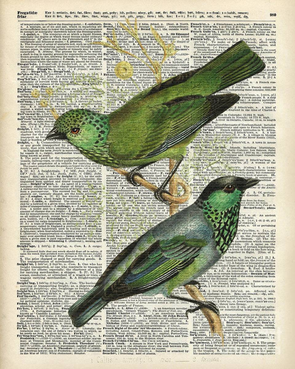 Green Canary Birds Couple Over Vintage Dictionary Book Page - Poster | Canvas Wall Art Print