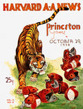Harvard Vs Princeton 1938 Football Game Program - Poster | Canvas Wall Art Print