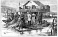 Harvesting Caviar - Poster | Canvas Wall Art Print