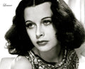 Hedy Lamarr - Poster | Canvas Wall Art Print