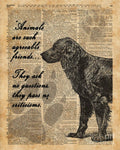 Human'S Best Friend - Poster | Canvas Wall Art Print