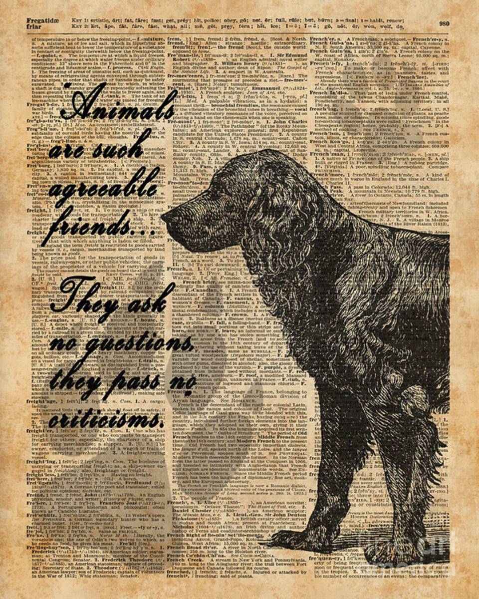 Human'S Best Friend - Poster | Canvas Wall Art Print