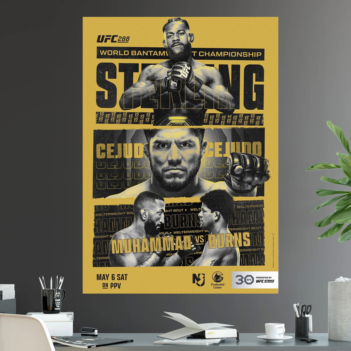 UFC 288 Aljamain Sterling vs Henry Cejudo Bantamweight Championship Title Belal Muhammad vs Gilbert Burns - Poster | Canvas Wall Art Print