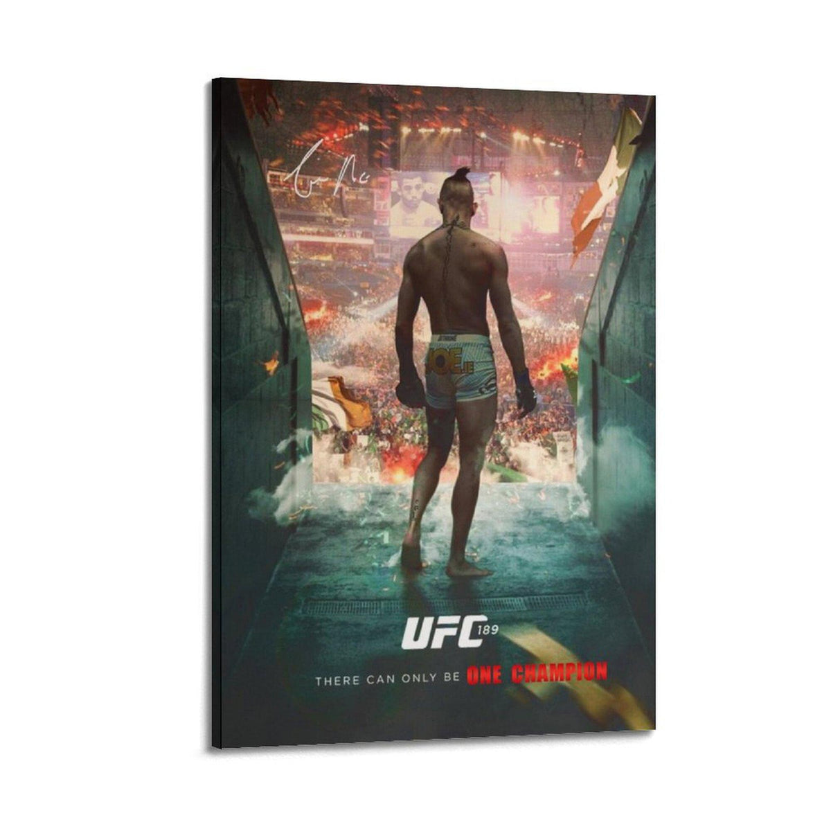 Boxing Star Conor McGregor Fighter Bedroom Living Room Decor - Poster | Canvas Wall Art Print
