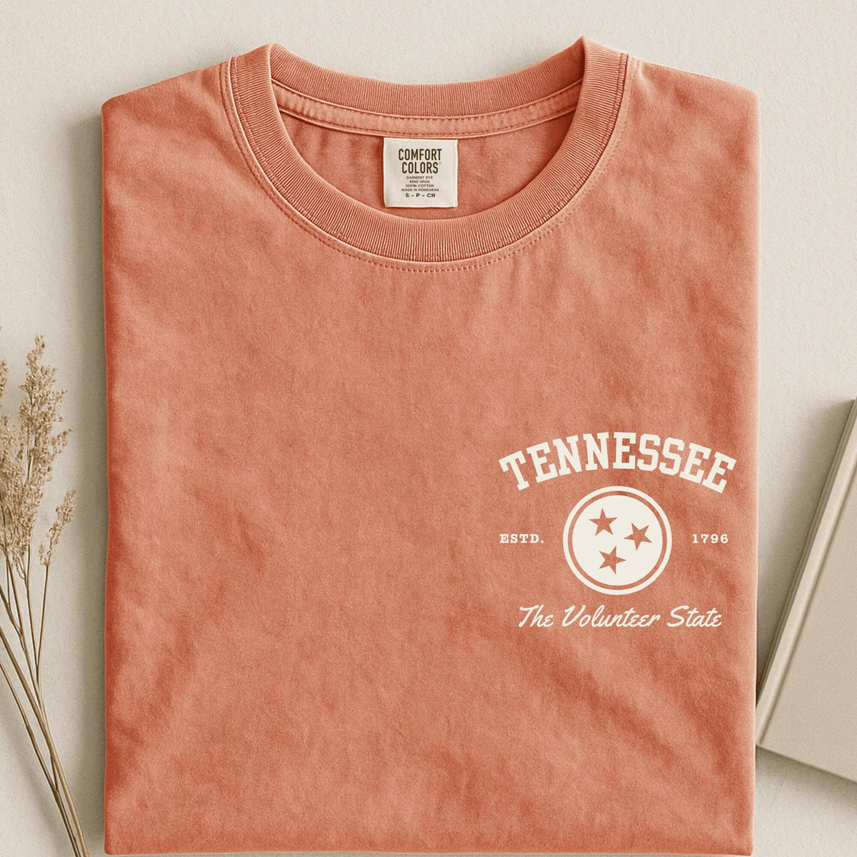 Comfort Colors Tennessee Vintage Volunteer State Shirt Women, Retro Graphic Tee, Fan Gift for Her Aesthetic