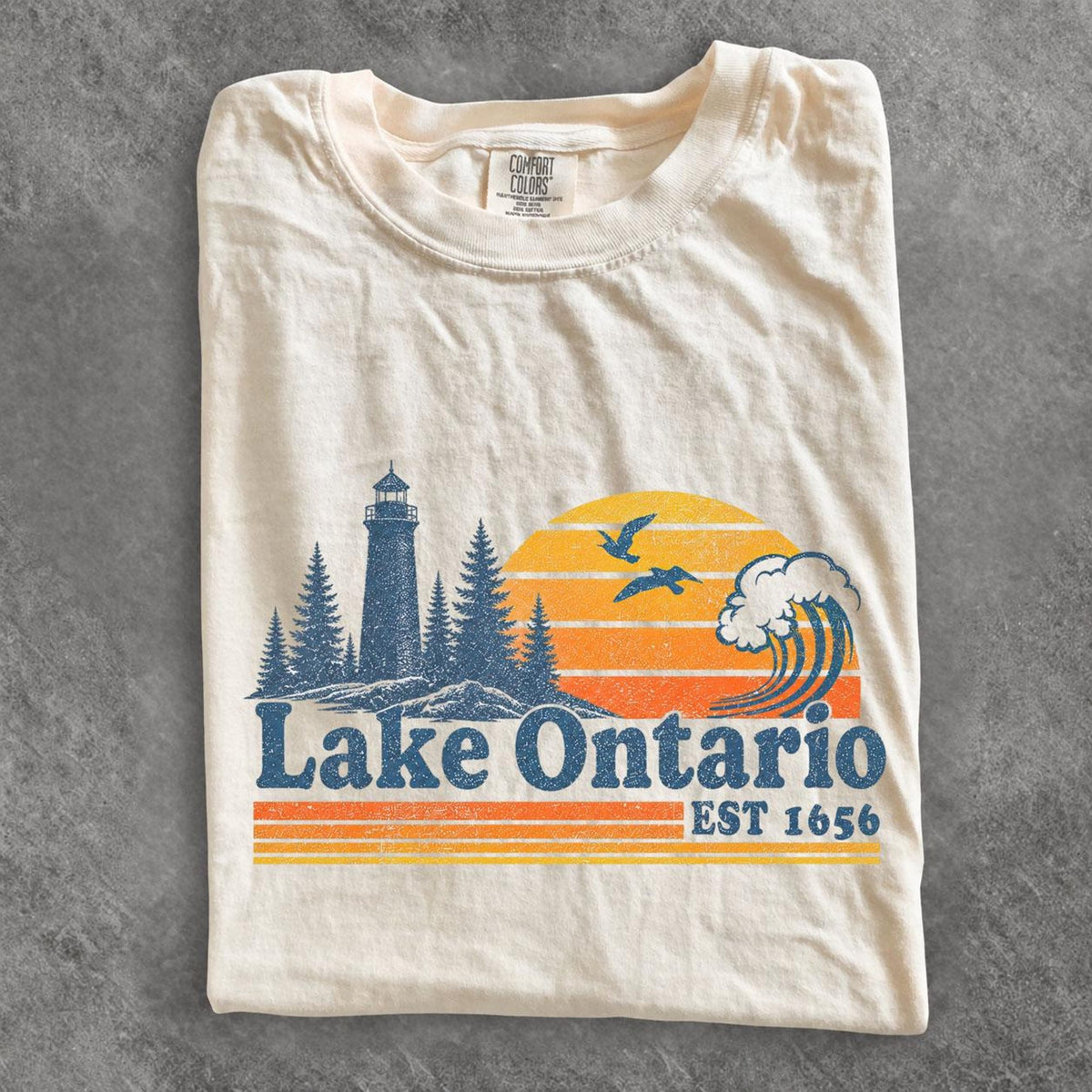 Vintage Lake Ontario Great Lakes Shirt Vintage Quiet Activism Tee Comfort Colors Canada Tee Subtle Anti Trump Shirt Travel Shirt