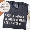 FDT Lake Ontario Shirt Kennedy Center Comfort Colors Funny Protest Tee   ProDemocracy Activism Subtle Gift