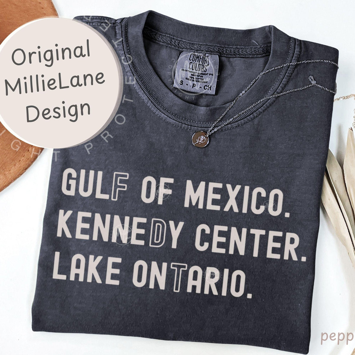 FDT Lake Ontario Shirt Kennedy Center Comfort Colors Funny Protest Tee   ProDemocracy Activism Subtle Gift