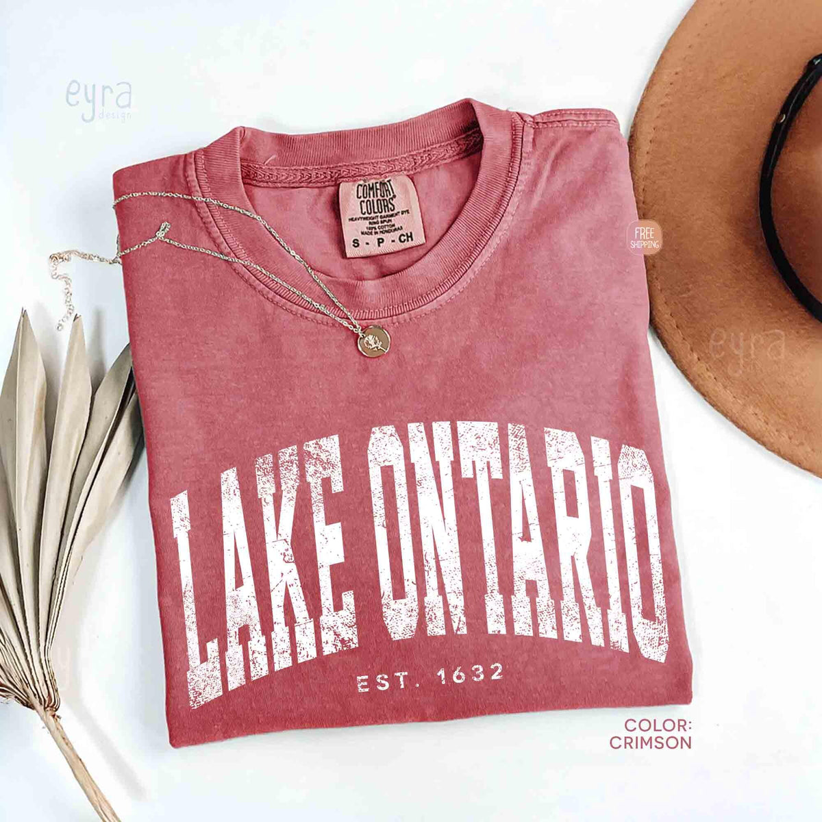 Vintage Lake Ontario Tshirt Comfort Colors Protest Shirt   Canada Tee Unisex Gift