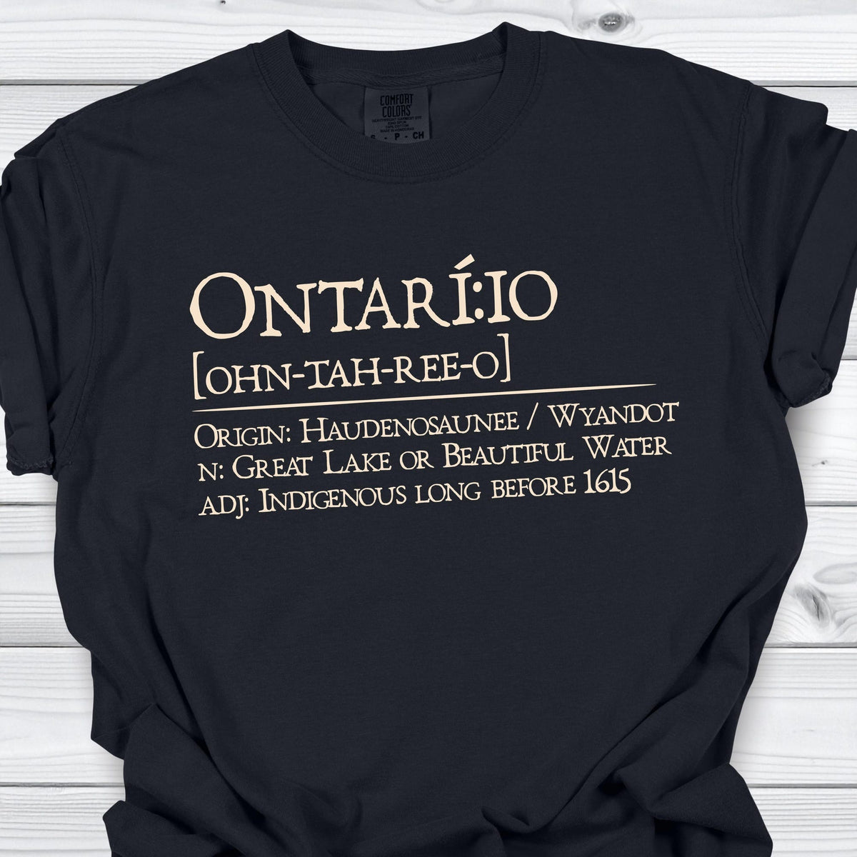 Lake Ontario Shirt Definition Indigenous History Comfort Colors Cotton Tshirt Great Lakes Gift Unisex