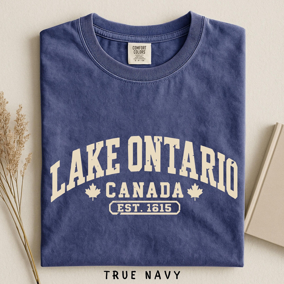 Lake Ontario Shirt Est 1615 Great Lakes Tee Comfort Colors Quiet Activism Subtle   Canada Travel Gift