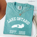 Comfort Colors Lake Ontario Shirt   Protest Activist Tee Great Lakes Gift Unisex
