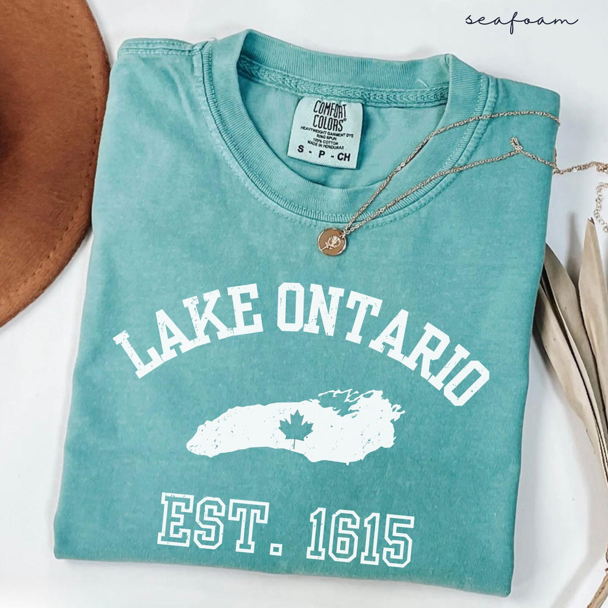 Comfort Colors Lake Ontario Shirt   Protest Activist Tee Great Lakes Gift Unisex