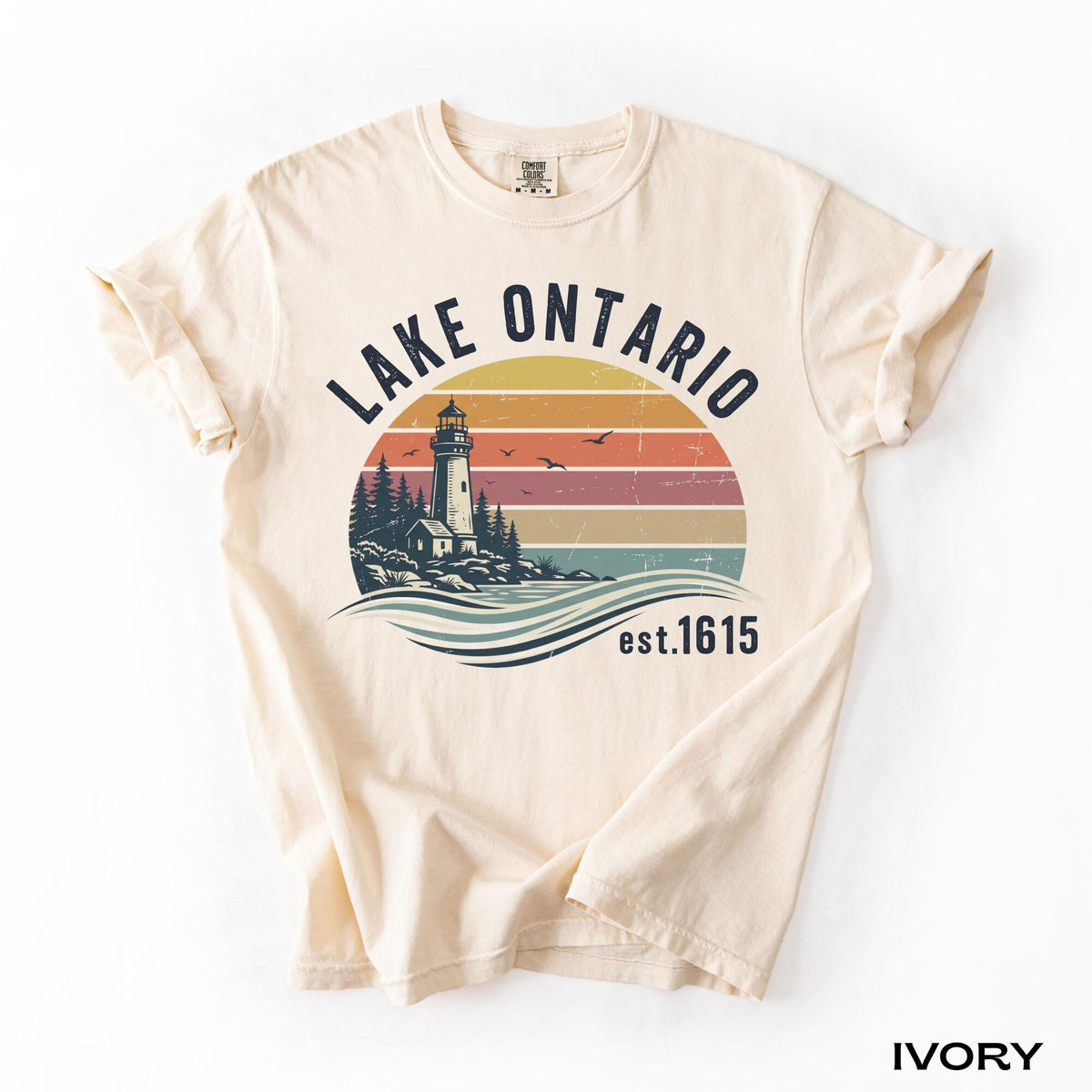 Vintage Lake Ontario Est 1615 Shirt Great Lakes Tee Comfort Colors Canada TeeQuiet Activism Tee  Subtle Anti Trump Shirt Travel Shirt