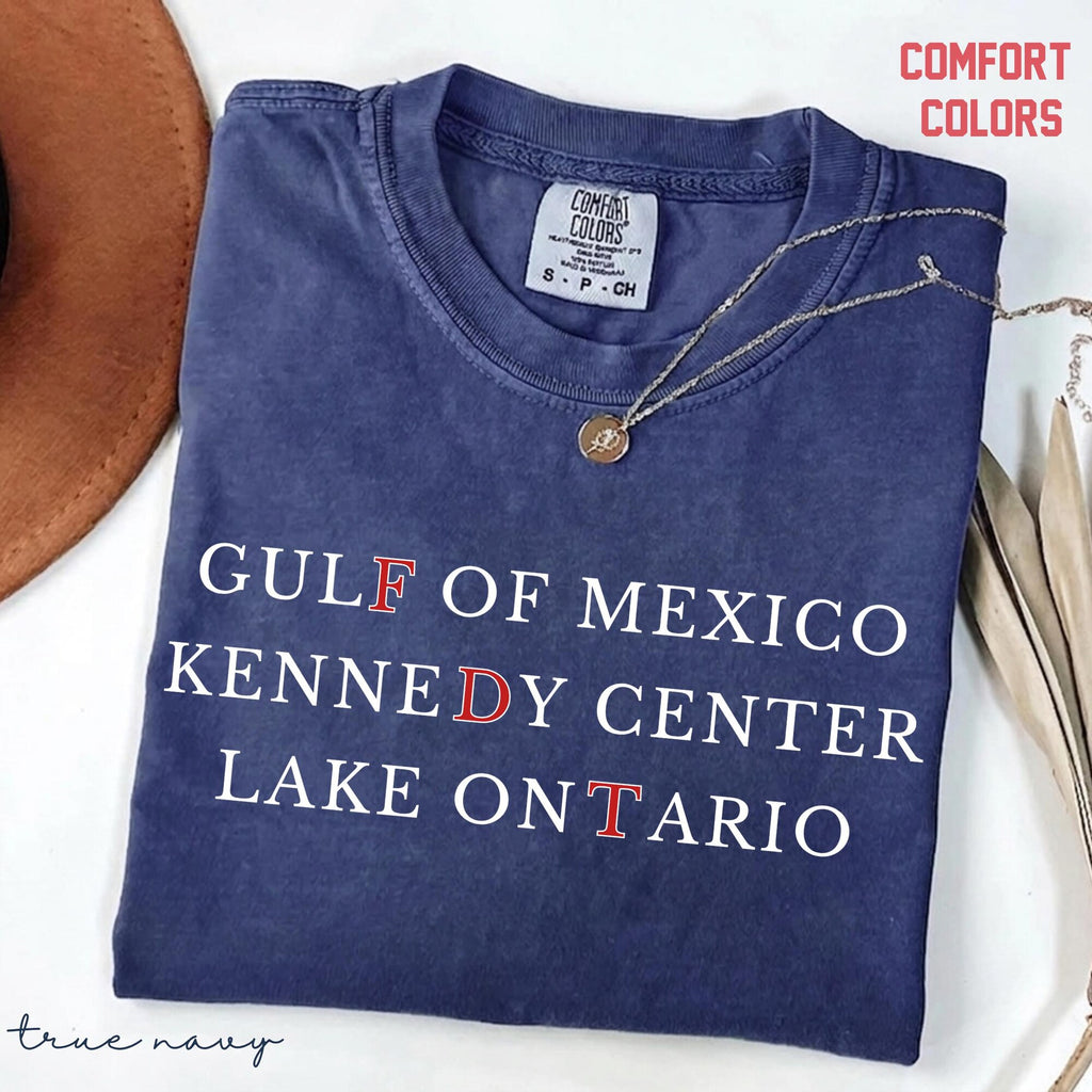 FDT Lake Ontario Shirt Gulf Of Mexico Kennedy Center Comfort Colors   ProDemocracy Activism Subtle Tee Gift