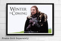 Ned Stark 'Winter Is Coming' Game Of Thrones Illustration - Fantasy Song Of Ice And Fire - Poster | Canvas Wall Art Print
