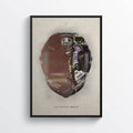 Valentino Rossi Moto Gp Helmet Motorcycle Motorbike - Poster | Canvas Wall Art Print