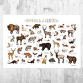 Alberta Mammals Field Guide Art Print - Animals Of Canada - Canadian Wildlife - Nature Print - Poster | Canvas Wall Art Print