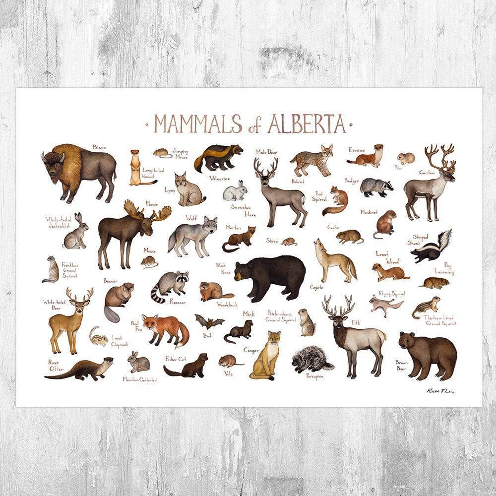 Alberta Mammals Field Guide Art Print - Animals Of Canada - Canadian Wildlife - Nature Print - Poster | Canvas Wall Art Print