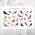 Texas Backyard Birds Field Guide Art Print - Nature Print - Bird - Poster | Canvas Wall Art Print
