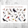 New Hampshire Backyard Birds Field Guide Art Print - Nature Print - Bird - Poster | Canvas Wall Art Print