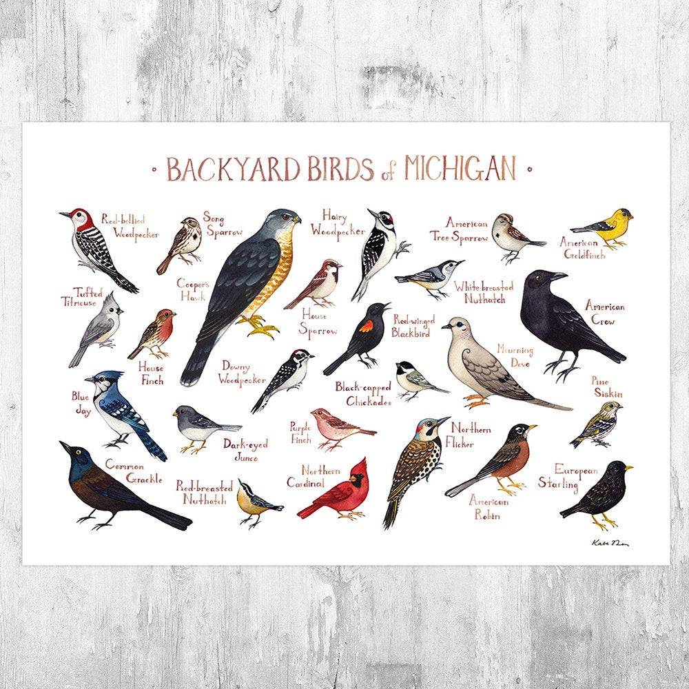 Michigan Backyard Birds Field Guide Art Print - Nature Print - Bird - Poster | Canvas Wall Art Print