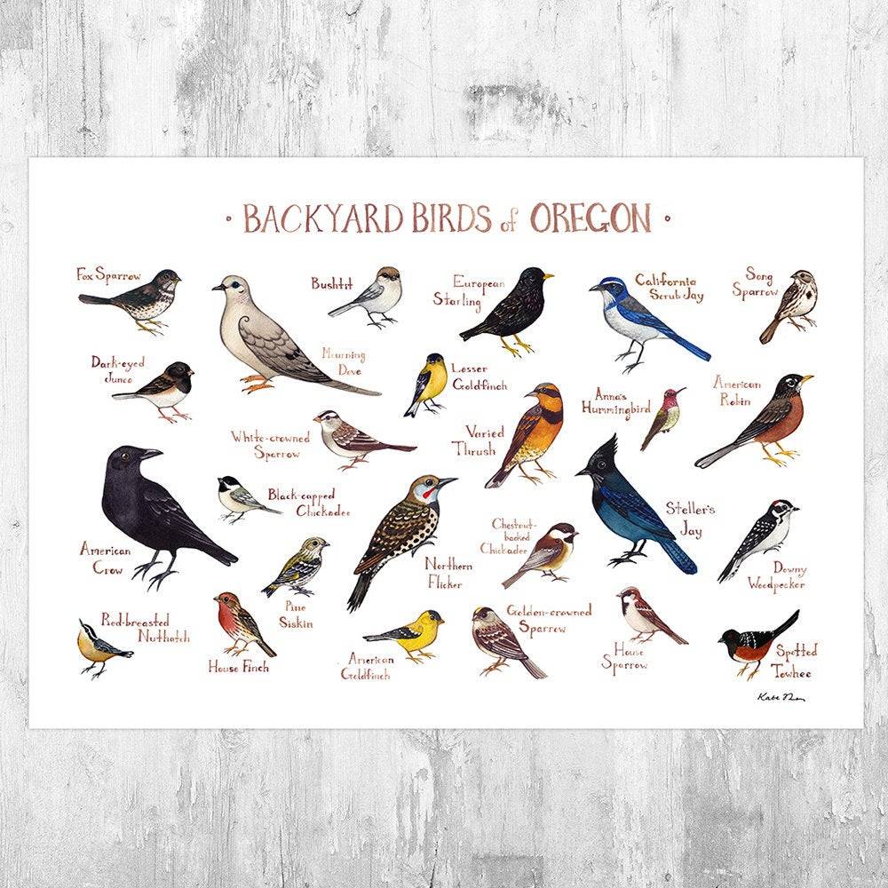 Oregon Backyard Birds Field Guide Art Print - Nature Print - Bird - Poster | Canvas Wall Art Print