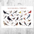 Tennessee Backyard Birds Field Guide Art Print - Nature Print - Bird - Poster | Canvas Wall Art Print
