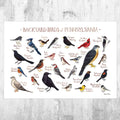 Pennsylvania Backyard Birds Field Guide Art Print - Nature Print - Bird - Poster | Canvas Wall Art Print