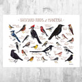 Manitoba Backyard Birds Field Guide Art Print - Nature Print - Bird - Poster | Canvas Wall Art Print