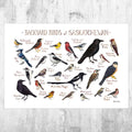 Saskatchewan Backyard Birds Field Guide Art Print - Nature Print - Bird - Poster | Canvas Wall Art Print