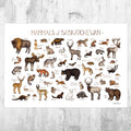 Saskatchewan Mammals Field Guide Art Print - Animals Of Canada - Canadian Wildlife - Nature Print - Poster | Canvas Wall Art Print