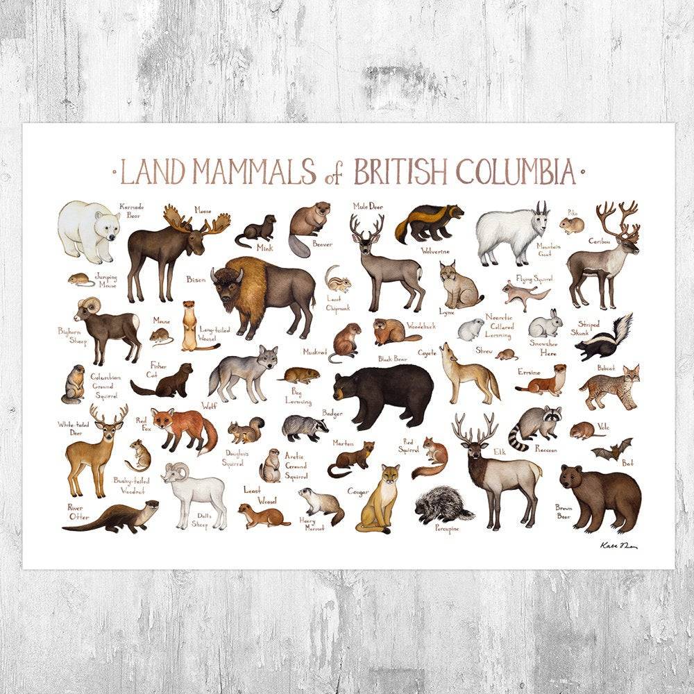 British Columbia Mammals Field Guide Art Print - Animals Of Canada - Canadian Wildlife - Nature Art Print - Poster | Canvas Wall Art Print