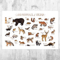 Virginia Land Mammals Field Guide Art Print - Animals Of Virginia - Nature Print - Wildlife - Poster | Canvas Wall Art Print