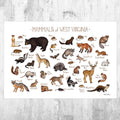 West Virginia Mammals Field Guide Art Print - Animals Of West Virginia - Nature Print - Wildlife - Poster | Canvas Wall Art Print