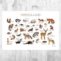Ohio Mammals Field Guide Art Print - Animals Of Ohio - Nature Print - Wildlife - Poster | Canvas Wall Art Print