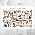 Nebraska Mammals Field Guide Art Print - Animals Of Nebraska - Nature Print - Wildlife - Poster | Canvas Wall Art Print