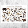Washington Land Mammals Field Guide Art Print - Animals Of Washington - Nature Print - Wildlife - Poster | Canvas Wall Art Print