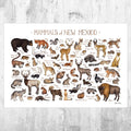 New Mexico Mammals Field Guide Art Print - Animals Of New Mexico - Nature Print - Wildlife - Poster | Canvas Wall Art Print
