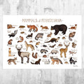 Pennsylvania Mammals Field Guide Art Print - Animals Of Pennsylvania - Nature Print - Wildlife - Poster | Canvas Wall Art Print