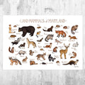 Maryland Land Mammals Field Guide Art Print - Animals Of Maryland - Nature Print - Wildlife - Poster | Canvas Wall Art Print