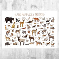 Oregon Land Mammals Field Guide Art Print - Animals Of Oregon - Nature Print - Wildlife - Poster | Canvas Wall Art Print
